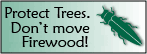 Don't move firewood